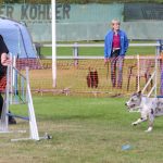 15409556_1042971162480587_1668630309_o