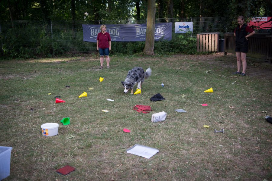 Workshop „Nasenarbeit“