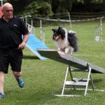 Agility_2015_06_28_0617
