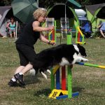 Agility_2015_07_05_0845