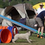 Agility_2015_07_05_0847