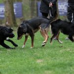 IMG-20170416-WA0007