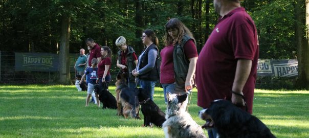 Rückblick Sommerfest der Fellfreunde
