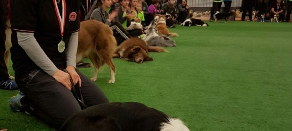 Anja mit Jazz bei der VDH Agility DM