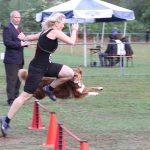 12002409_524440964386427_5066010222550434122_o