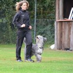 408761_201796939952732_853095140_n