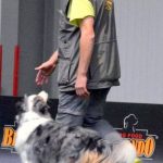 45698881_1752765231500288_3231763865750470656_n