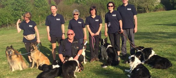 Agility Niederrhein-Vereins-Cup 2017