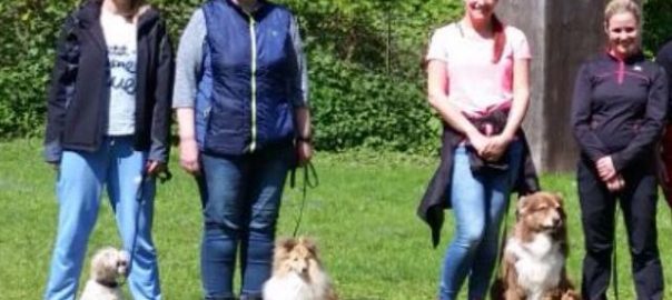 Begleithundeprüfung unserer Agi-Mitglieder