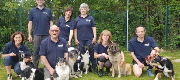 Agility Niederrhein-Vereins-Cup 2017, Finale