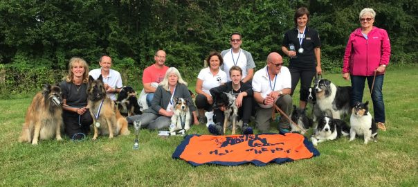 DSV-Agility-Verbandsmeisterschaft 2017