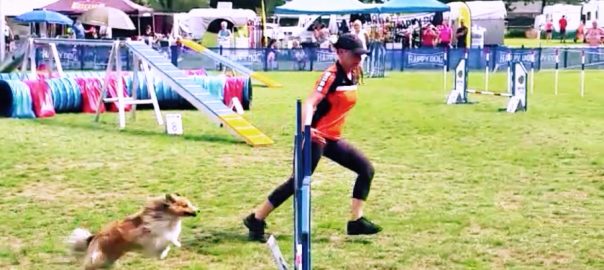 Agility-Turnier bei Canida Venlo