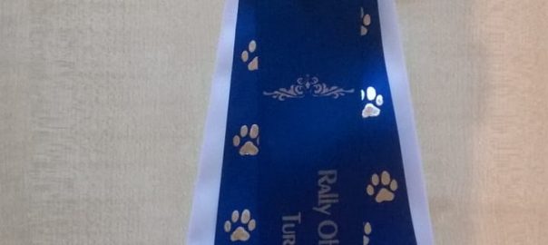 RO-Turnier Mülheimer Hundefreunde