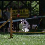 IMG-20180507-WA0004