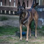 IMG-20180507-WA0007