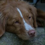IMG-20180507-WA0008