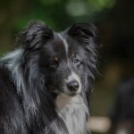 IMG-20180507-WA0011