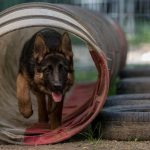 IMG-20180507-WA0013