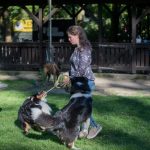 IMG-20180507-WA0018
