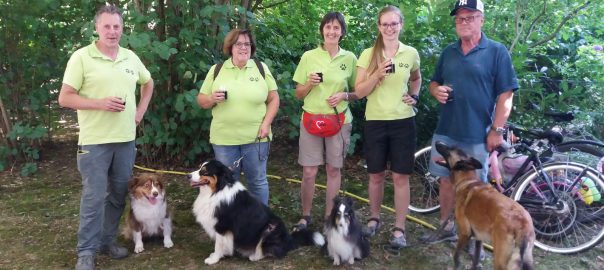 Flyball-Vorstellung auf dem Pongser Dorffest