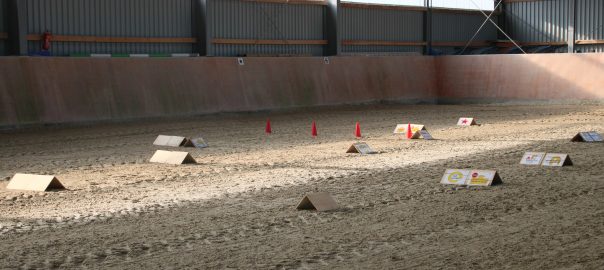 Da steht ein Pferd auf dem Flur!