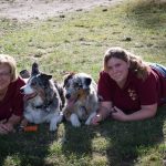 20150803-183338-UK61538