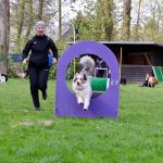 IMG-20190413-WA0093[1]