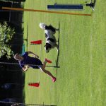 IMG_0329
