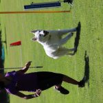 IMG_0337
