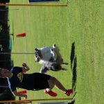 IMG_0352