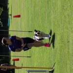 IMG_0358