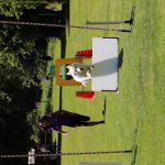 IMG_0373