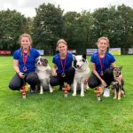 72186732_2452822618130445_6711692342023159808_n