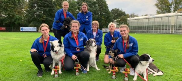 VDH deutsche Meisterschaft THS 2019