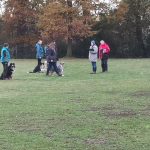 70655695_2347058785404260_6804044146160959488_n