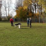 75132186_2347059185404220_9132071589171429376_n