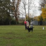 75513392_2347059002070905_6228335730393874432_n