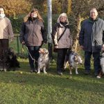 76277144_2347058405404298_4254394505186246656_n