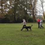 76638832_2347058888737583_4508270971240579072_n