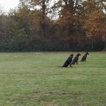 77257977_2347058702070935_6646261749378973696_n