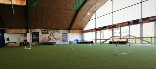 Hoopers-Seminar bei Beate Lambrecht