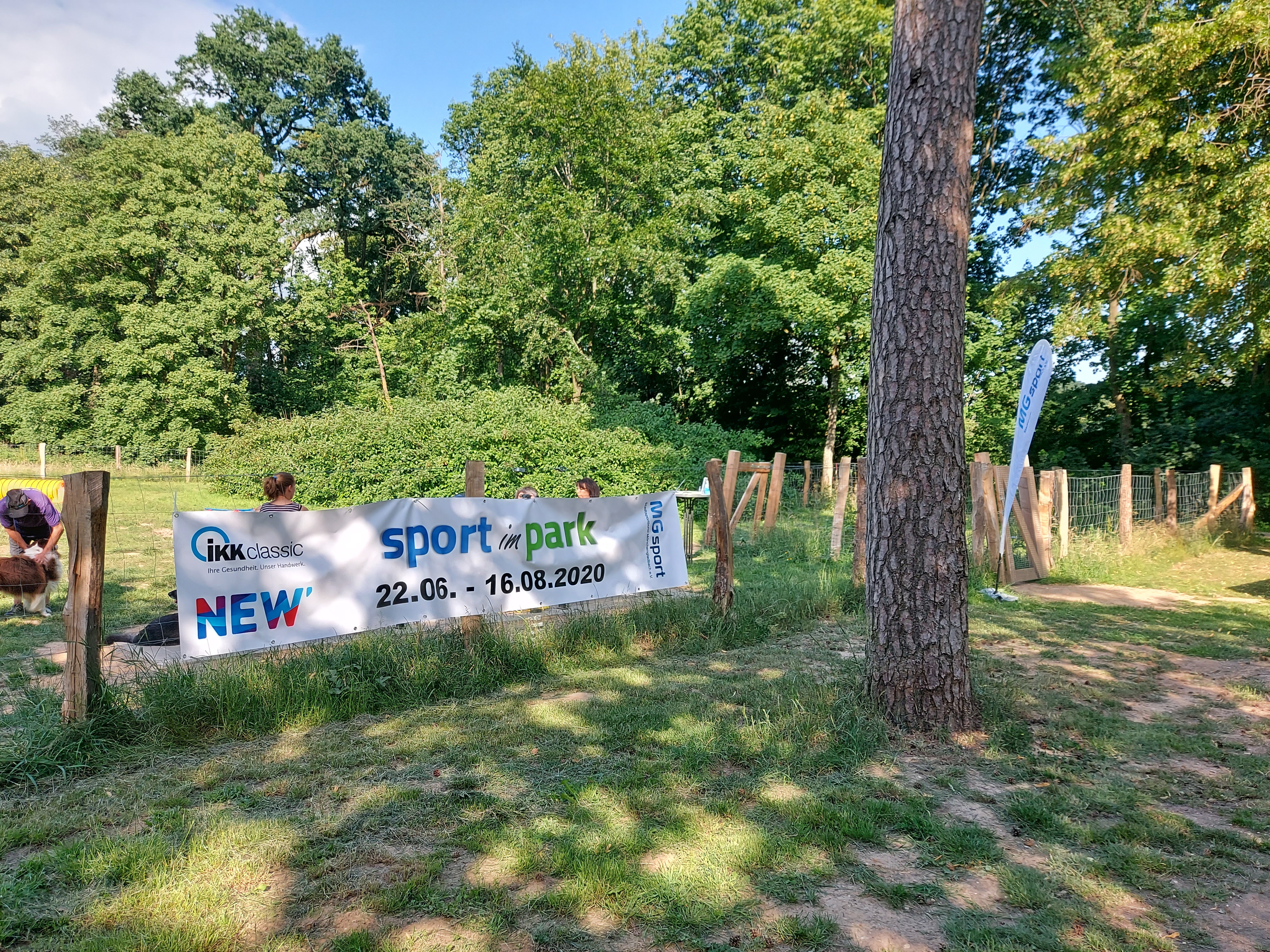 Sport im Park 2020