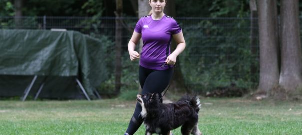 Fun-Turnier der THS-Abteilung
