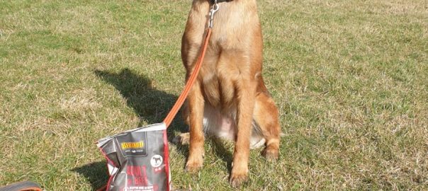 Agility-Turnier in Velbert