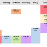 Platzbelegung 201026
