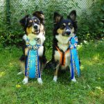 200717295_3807795002663957_5199068462179057966_n