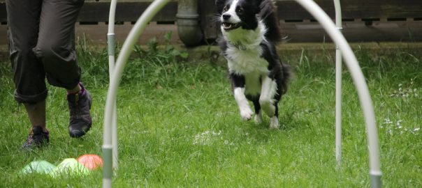 Bunte Stunde „HoopAgi“