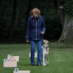 240773405_4521723007848299_4205391279562152903_n