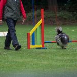 240796603_4521727677847832_3979652463261792832_n