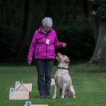 240810494_4521727384514528_1713391606227864793_n